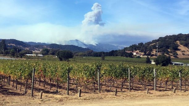 Smoke continues to billow in the hills behind Napa, Calif., on Sunday, Oct. 15, 2017. With the winds dying down, fire officials said Sunday they were finally getting the upper hand against the wildfires that have devastated California wine country and other parts of the state over the past week, and thousands of people got the all-clear to return home. (AP Photo/John Mone)
