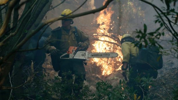 Firefighters from Kern County, Calif., work to put out hot spots during a wildfire Saturday, Dec. 16, 2017, in Montecito, Calif. (AP Photo/Chris Carlson)