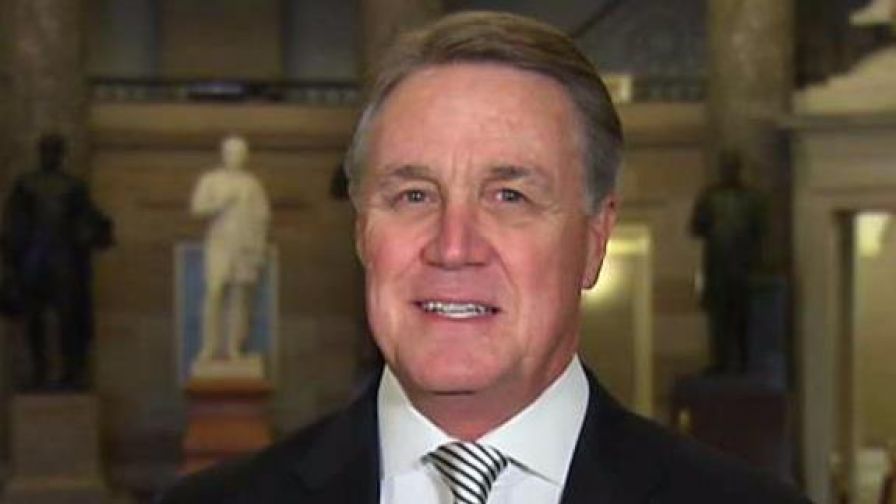 Georgia senator explains on 'Fox News @ Night' why he supports the legislation.