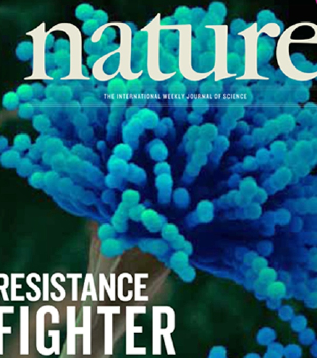 Superbug-disarming fungus 