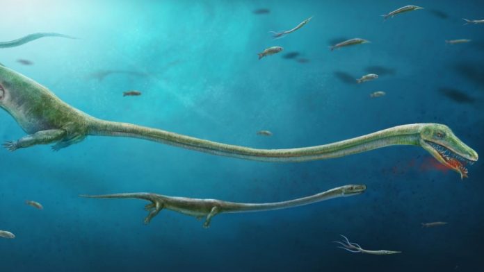 pregnant-dinosaur.jpg