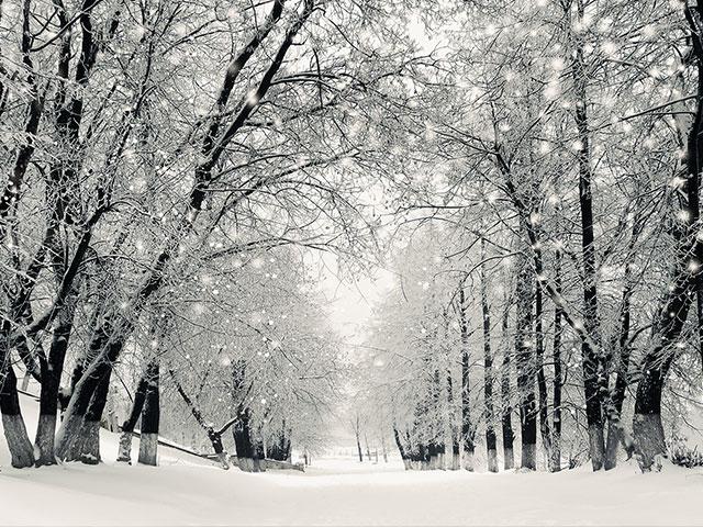 snowstormwinteras_si.jpg