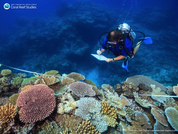 Australia Bleached Reef