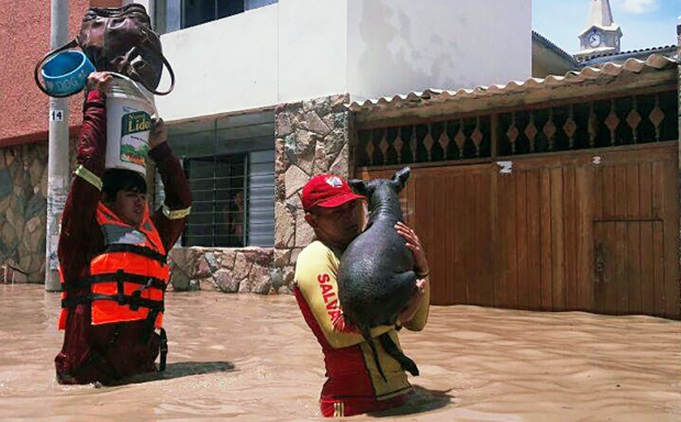 Piura, Peru, flooding