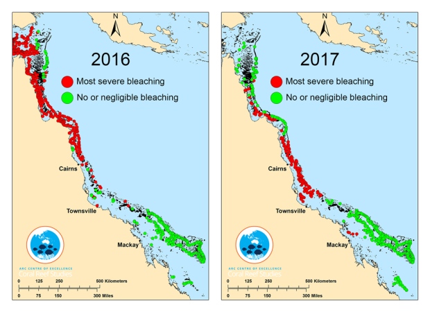 Great Barrier Reef bleaching