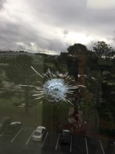 bullethole-NSSTC-225x300.jpg