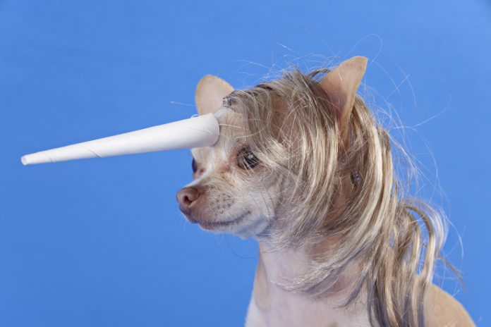smallunicorn.jpgw738