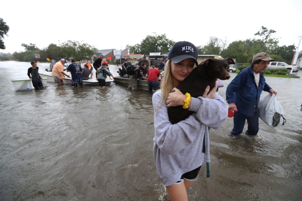 Harvey