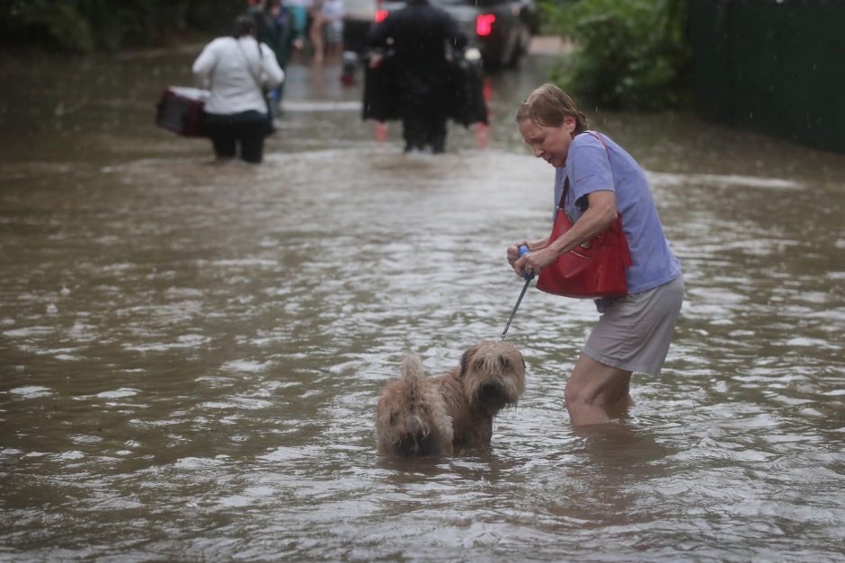 Resident walks down a flooded street with her dog