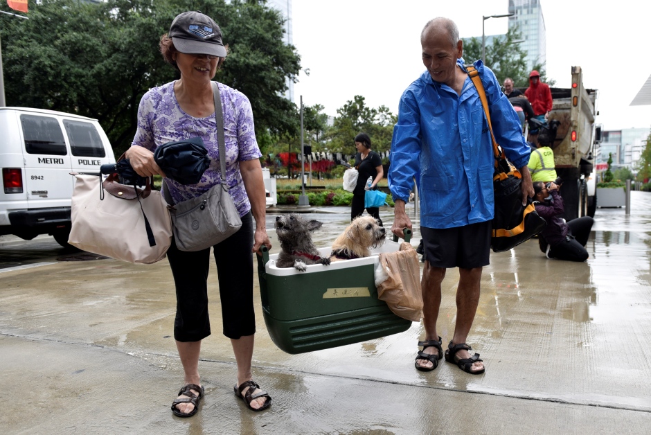 STORM HARVEY evacuees carry their dogs in a cooler