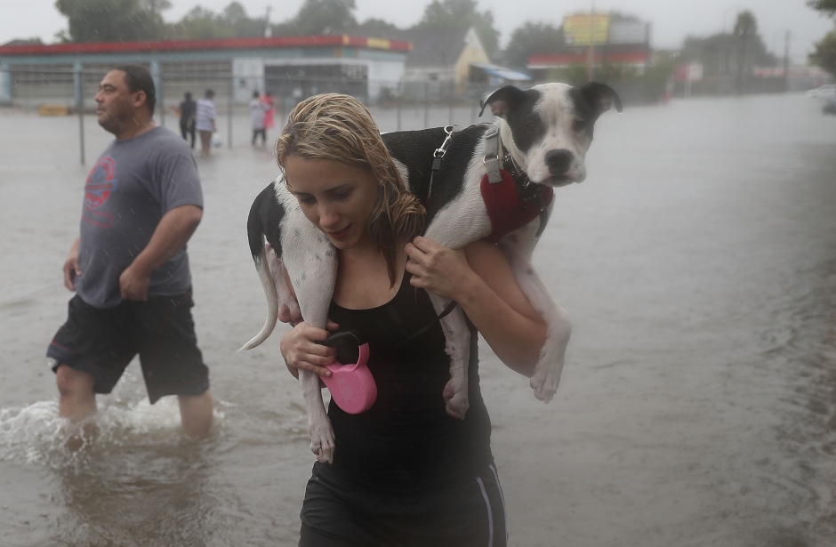 Harvey woman carries dog on her shoulders
