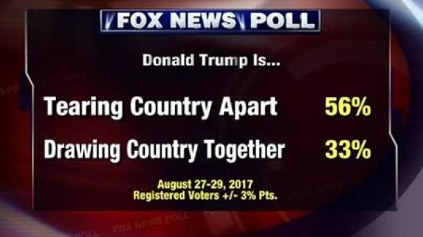 Pollpic2