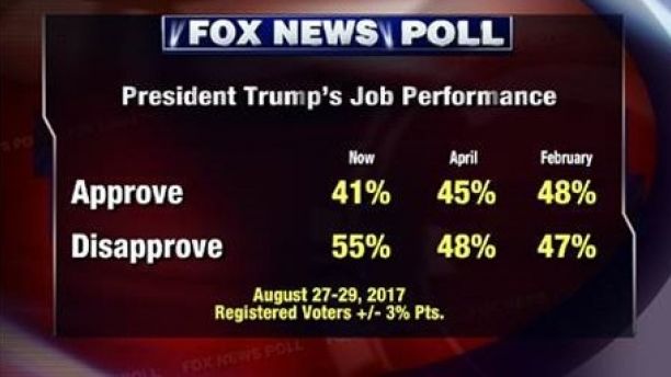 pollpic3