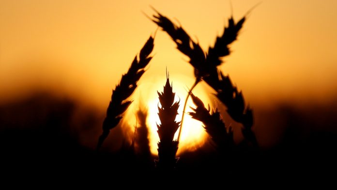 commodities-summit.jpg
