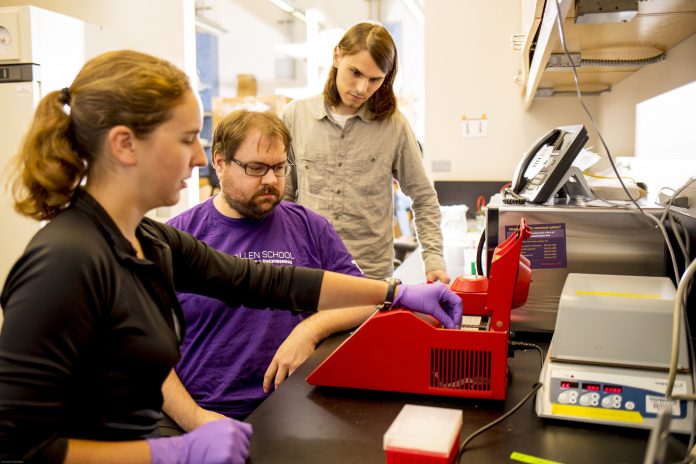 team-uw-dna-security1.jpg
