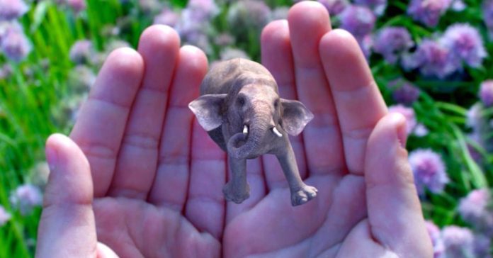 102106687-magicleap.1910x1000.jpg