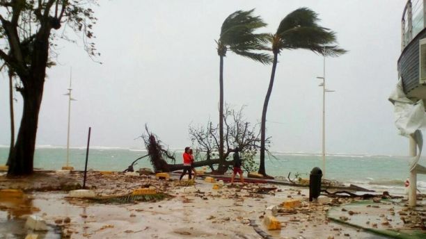 People walk by a fallen tree off the shore of Sainte-Anne on the French Caribbean island of Guadeloupe, early Tuesday, Sept. 19, 2017, after the passing of Hurricane Maria. (AP Photo/Dominique Chomereau-Lamotte)