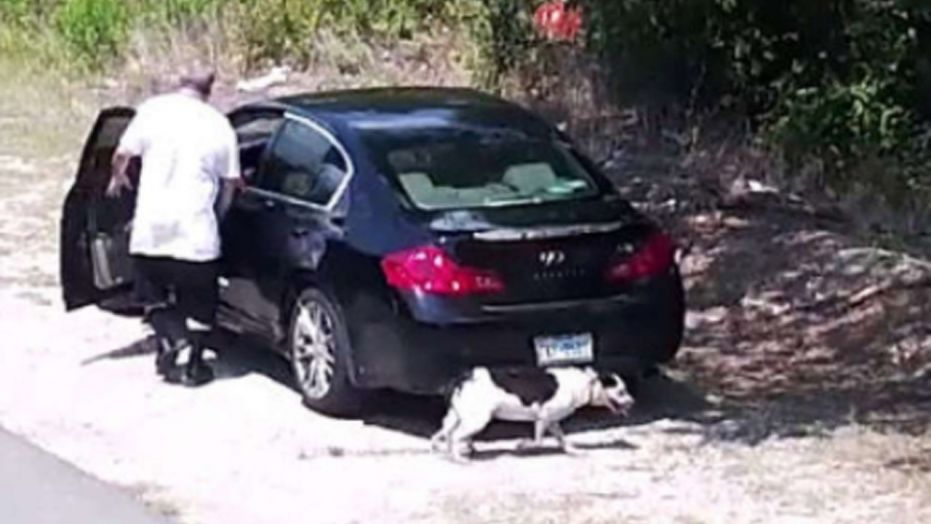 Gorge Spears was reportedly recorded abandoning his dog in Dallas County.