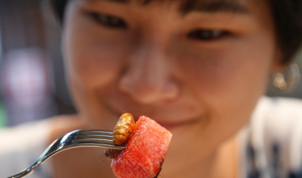 Thailand Bistro of Bugs