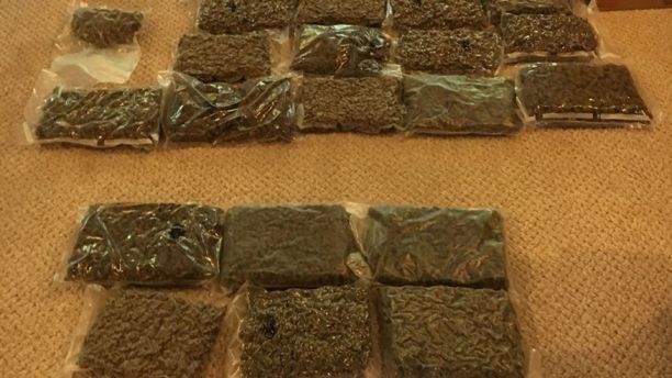 georgia drug bust