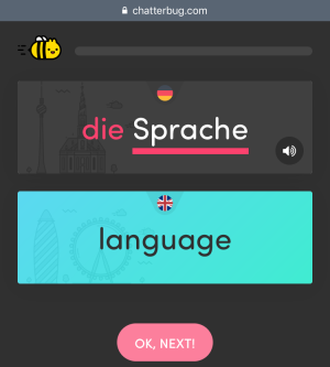 chatterbug-flash-card.png