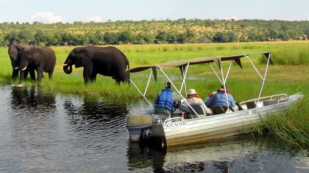 Foreign tourists in safari riverboats observe elephants along the Chobe river bank near Botswana's northern border where Zimbabwe, Zambia and Namibia meet, March 4, 2005. REUTERS/Peter Apps/File Photo - D1BEUCNYETAB