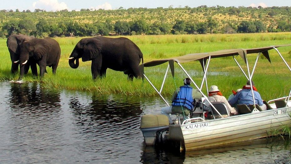 FILE: Foreign tourists in safari riverboats observe elephants along the Chobe river bank near Zimbabwe.