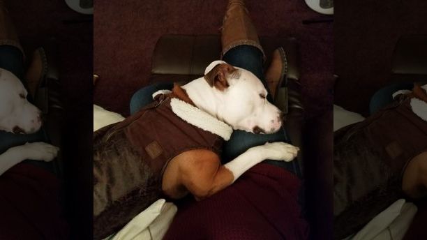 jax sleeping