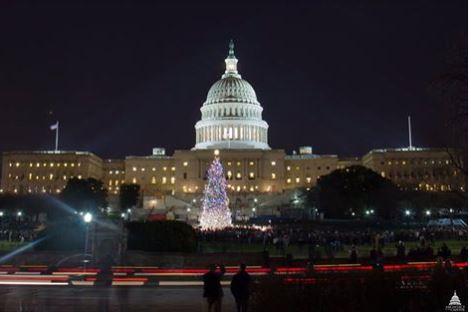 capitolchristmastree.jpg