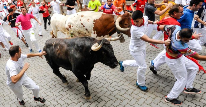 104591437-GettyImages-813676680-bull.1910x1000.jpg