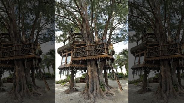 Lynn Tran and her husband Richard Hazen pose in their Australian pine treehouse Thursday, Jan. 4, 2018, in Holmes Beach, Fla. The couple is hoping the U.S. Supreme Court will hear their case after city and state officials ordered the treehouse removed. (AP Photo/Chris O'Meara)