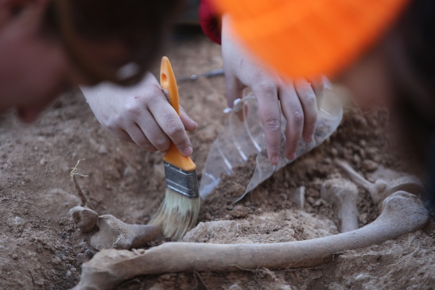 Brushing dirt