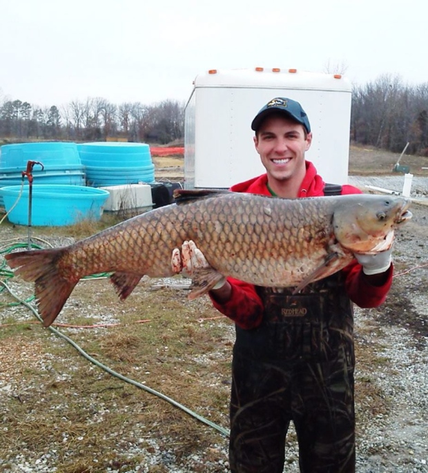 Asian Carp Great Lakes