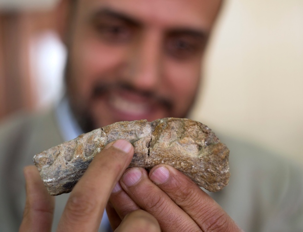Egypt Dinosaur