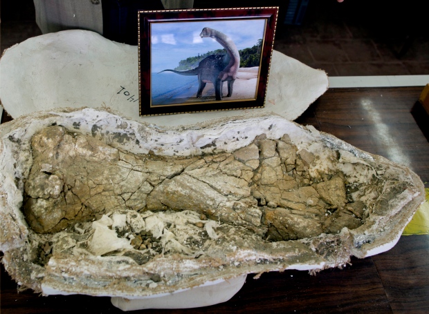 Egypt Dinosaur