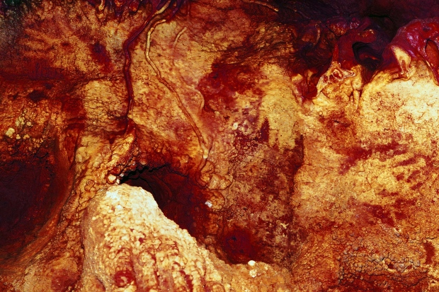 Science Says Neanderthal Artists