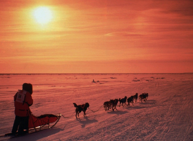 Iditarod