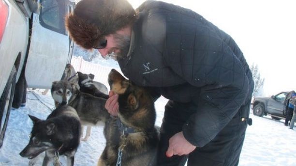 Pete Radano of Talkeetna, Alaska, attends to Skeeball, a dog on his wife Anja's sled dog team ahead of the official start of the Iditarod Trail Sled Dog Race in Willow, Alaska, on Sunday, March 4, 2018. The winner of the nearly thousand mile race across the Alaska wilderness is expected in Nome, Alaska, on the Bering Sea coast, in about nine days. (AP Photo/Mark Thiessen)