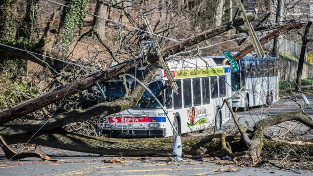 A bus is covered by a tree that collapsed onto power lines due to a storm last Friday in Bryan Mawr, Pa., Sunday, March 4, 2018. The road is closed until crews can clean the mess. (Michael Bryant/The Philadelphia Inquirer via AP)