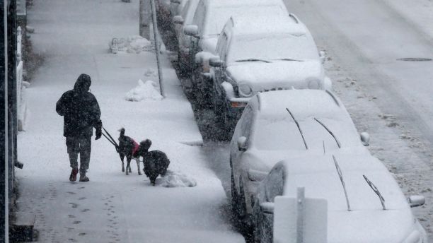 A person walks dogs on Marginal Street in Boston, Tuesday, March 13, 2018. Boston finds itself in the bullseye of the third nor'easter in two weeks. (AP Photo/Michael Dwyer)